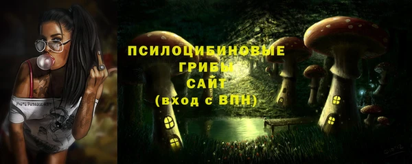 гидропоника Арсеньев