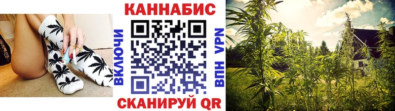наркотики  Баймак  Бошки марихуана SATIVA & INDICA 
